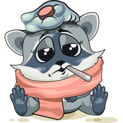 Under-the-Weather Raccoon