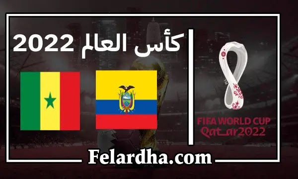 مشاهدة مباراة السنغال والإكوادور بث مباشر بتاريخ 29/11/2022 كأس العالم 2022