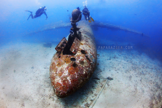 Scuba diving Philippines, Underwater Photography Philippines, Dive Philipines, PaparazSea
