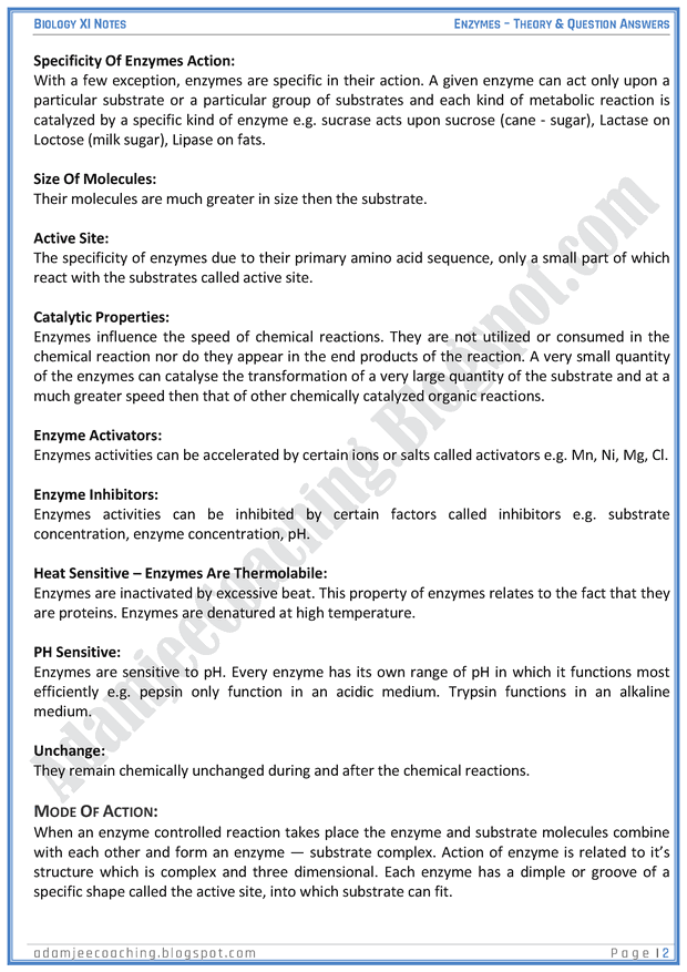 the-enzymes-descriptive-question-answers-biology-11th