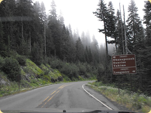 Mt. Rainier National Park 235