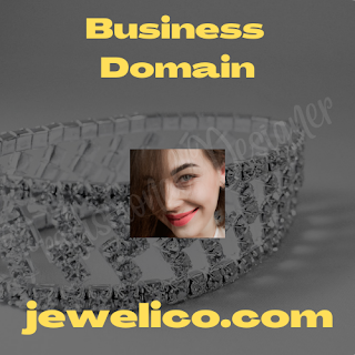 Professional Designer