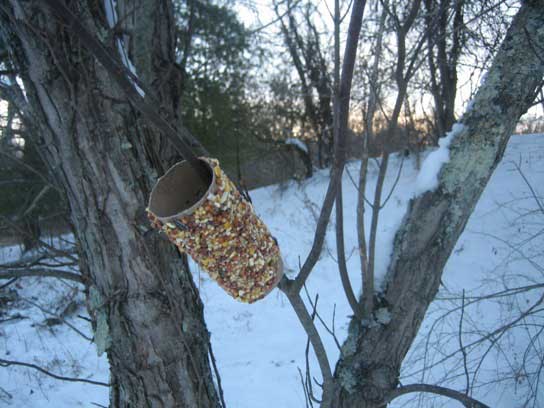 Bird Feeder Peanut Butter