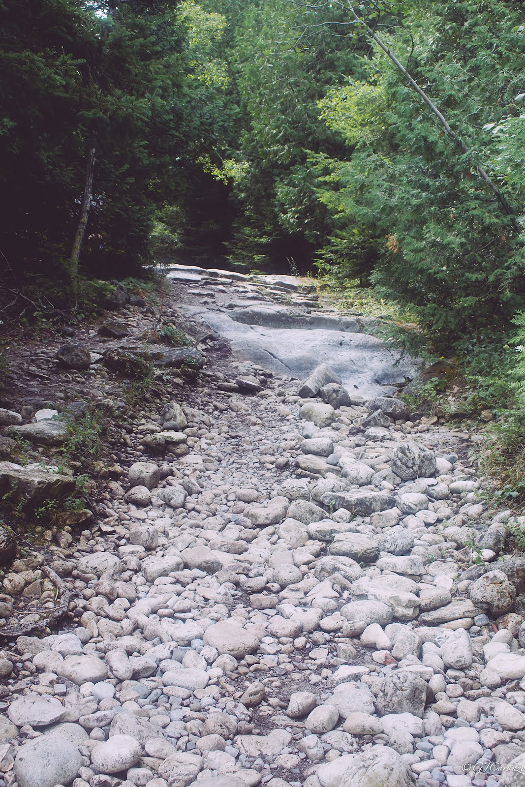 Things To Do in Tobermory, Ontario: Hike to the Halfway Log Dump