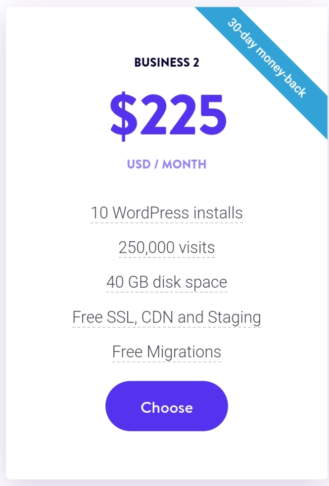 Kinsta hosting business 2 plan