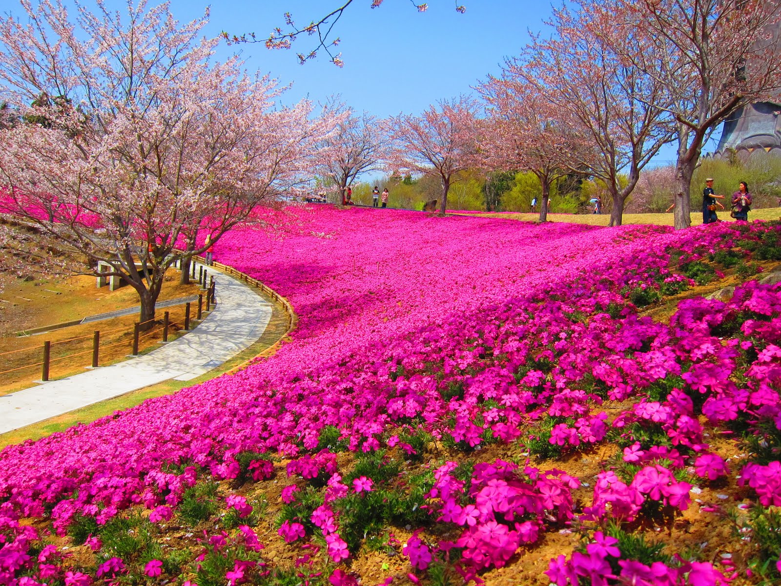Gambar Wallpaper Taman Bunga Gudang Wallpaper Gambar Wallpaper Taman Bunga Gudang Wallpaper