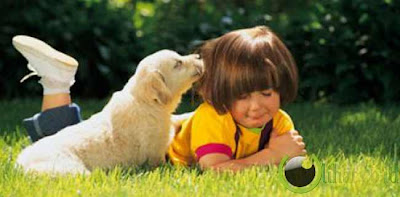 tkp-gila.blogspot.com - 5 Hal yang bisa Dirasakan Anjing tentang Manusia
