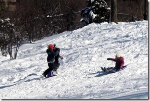 sledding-central-park-nyc