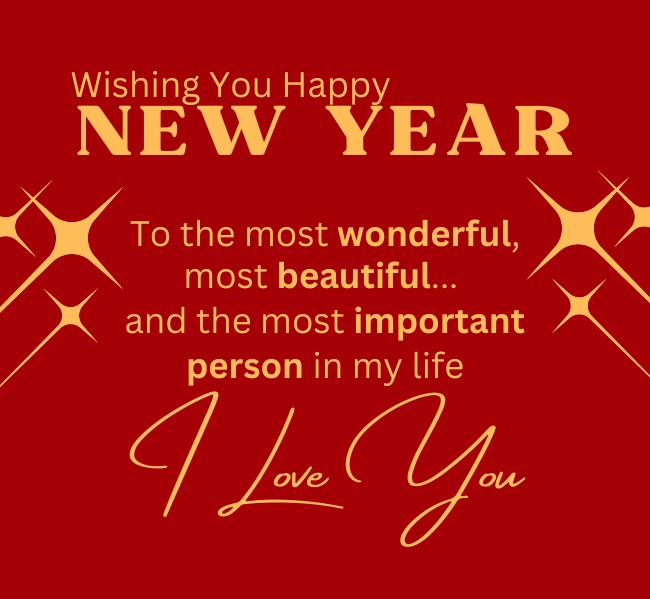 Happy New Year 2024 Wishes for Wife