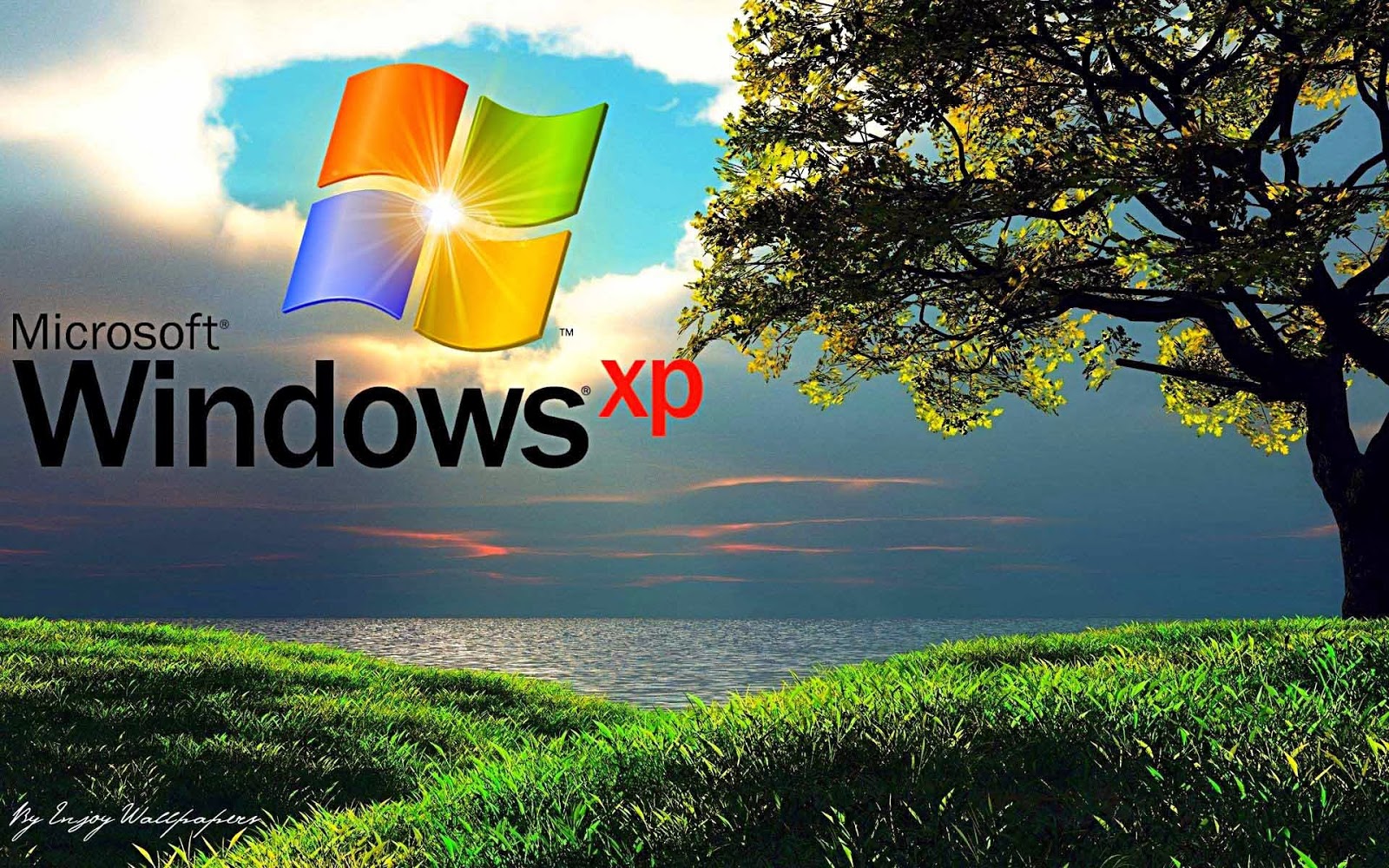 Info Wallpapers: windows xp hd wallpaper