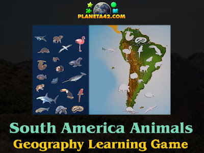 South America Animals