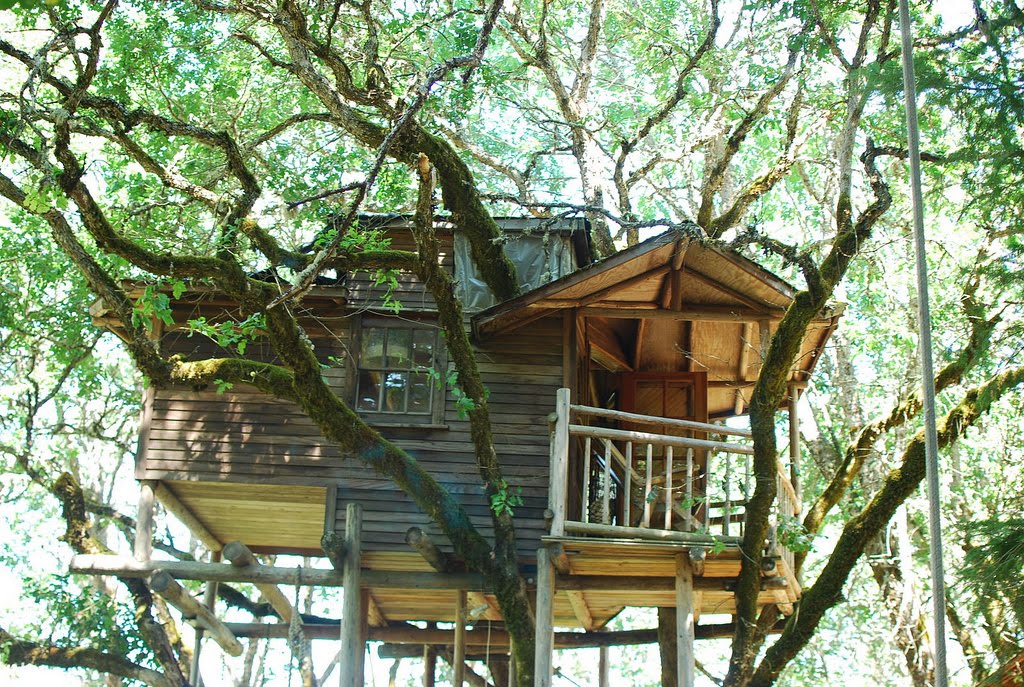 Pictures of Tree Houses and Play Houses From Around The World, Plans