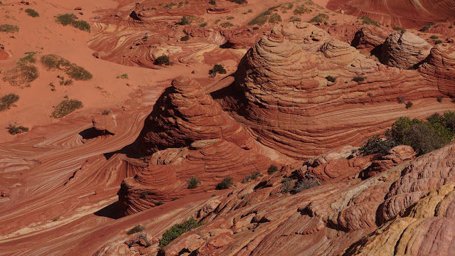 Brain Rocks, Coyote Buttes North