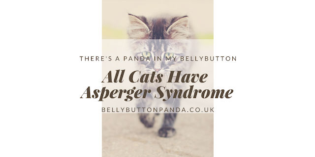 All Cats Have Asperger Syndrome www.bellybuttonpanda.co.uk