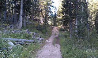 White Pine Trail Alta Utah