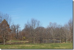 Fall 2009 064