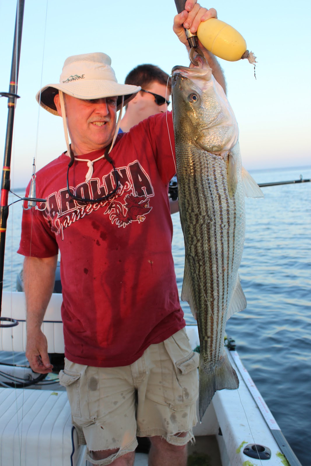 Rhode Island Striped Bass: Key to Big Fish is Finding the Pogies