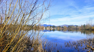 The Lake at Mill Lake Park, Abbotsford BC