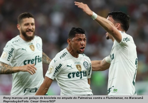 www.seuguara.com.br/Fluminense/Palmeiras/Brasileirão 2022/