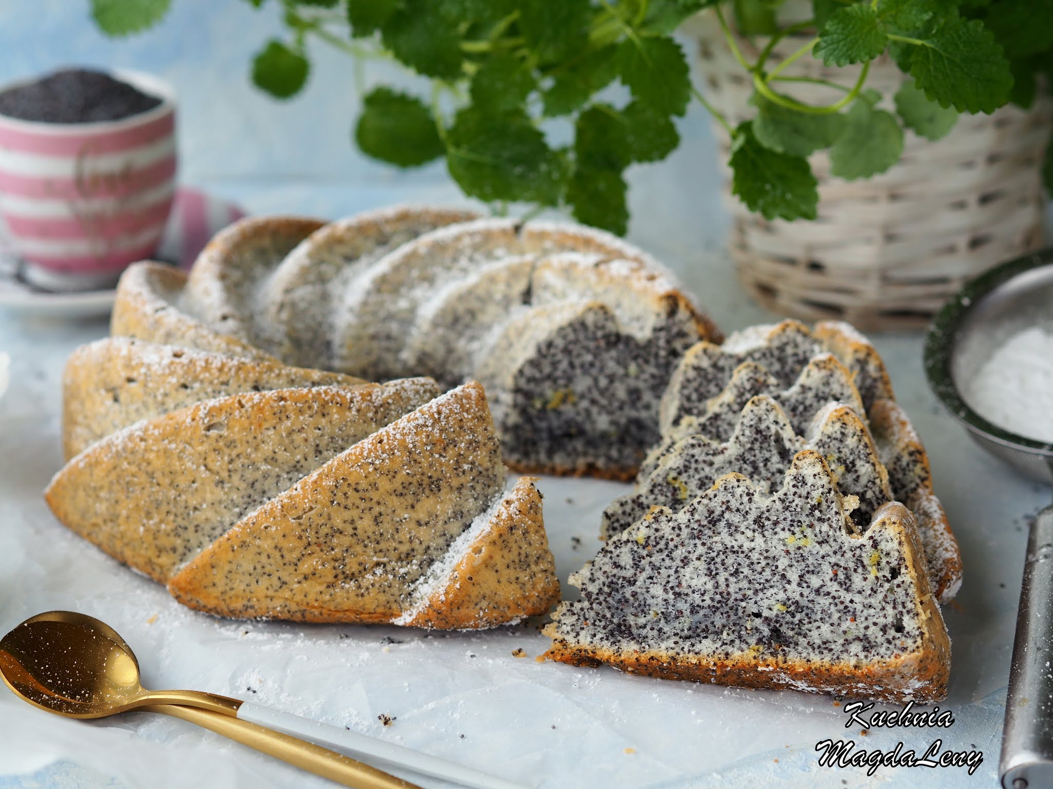 Babka piegusek na białkach