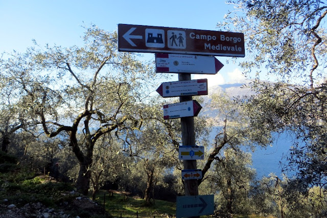 escursione brenzone nordic walking park