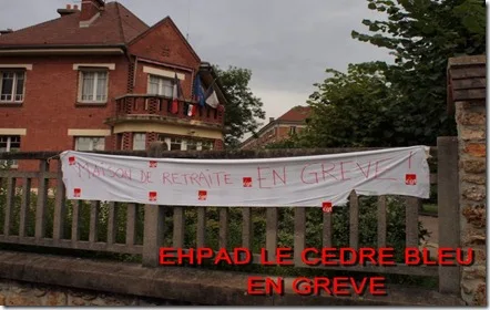 CEDRE BLEU