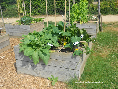 Design Carrés de potager de La Mothe-Achard