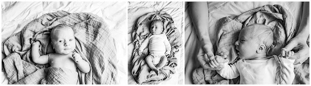 Terre Haute Newborn Photography