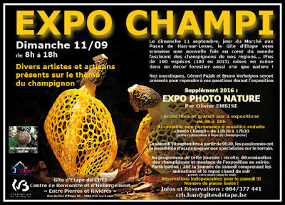 Exposition Champignons 2016 Han-sur-Lesse Belgique