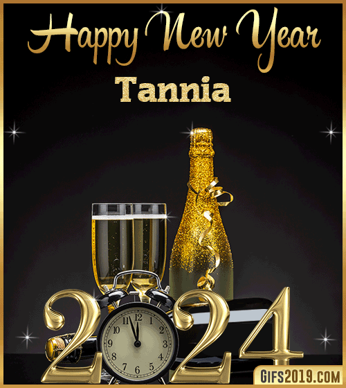 Champagne Bottles Glasses New Year 2024 gif for Tannia
