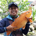 Mancing Ikan Program Melatih Kesabaran 