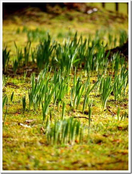 17 Feb 3 17-02-2012 11-43-35