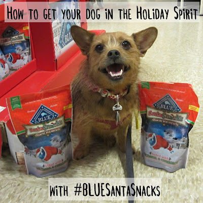 How to Get Your Dog in the Holiday Spirit with #BLUESantaSnacks