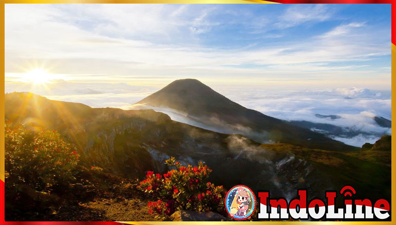 9 Gunung Terbaik di Indonesia untuk Didaki
