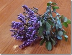 heather and bogmyrtle