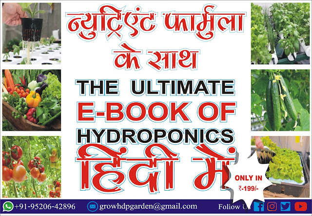 Hydroponics E-Book In Hindi