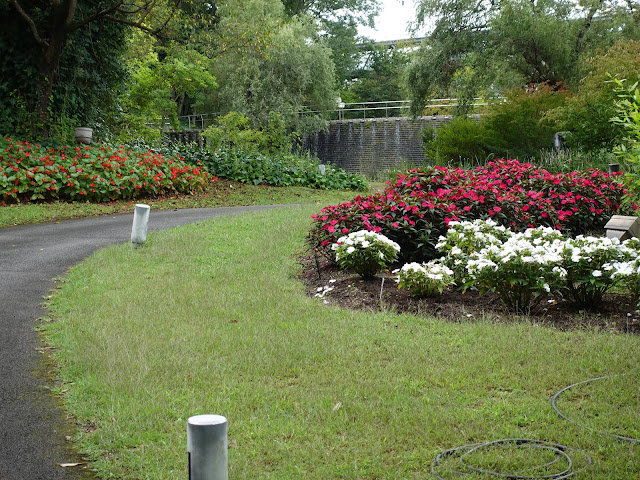 とっとり花回廊の花の谷