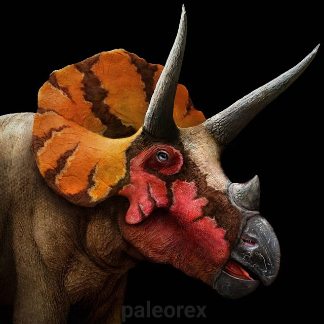 Трицератопс (Triceratops)