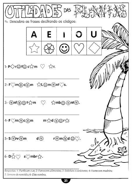 Partes da planta e suas funções para ensino fundamental