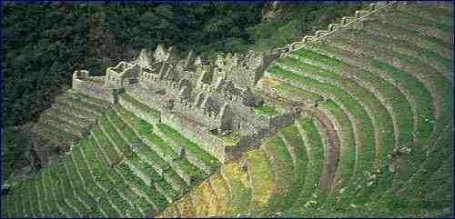 sistema-de-terrazas-en-machu-picchu-peru-incas