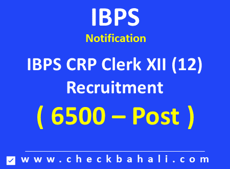 IBPS CRP Clerk XII (12) Recruitment 2022 Online Form