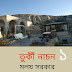 তুর্কী নাচন-১ / মলয় সরকার
