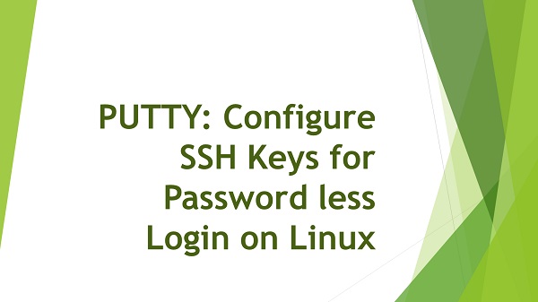 PuTTYgen: Configure SSH Keys to Password less Logins to Linux
