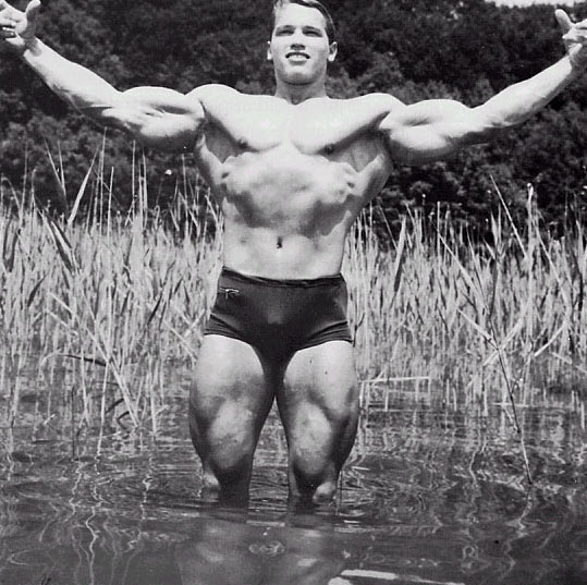 arnold schwarzenegger bodybuilding photos. arnold schwarzenegger