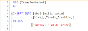 Sql Server Insert Veri Ekleme
