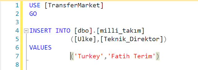 Sql Server Insert Veri Ekleme