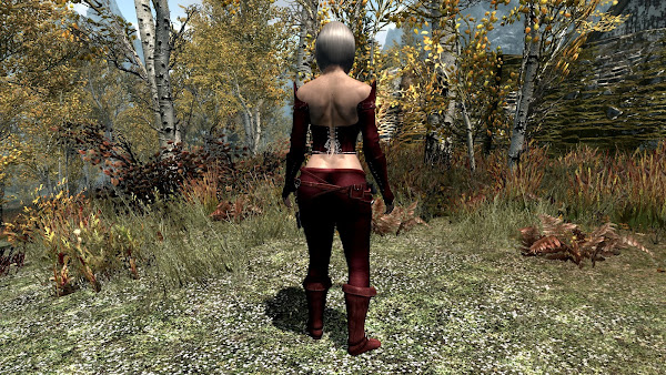 Custom armor for The Elder Scrolls V Skyrim