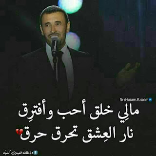 صور شعر 