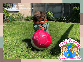 Après-midi détente avec Sora ! kiki Monchhichi toys life life style kidult berger australien chien plushie