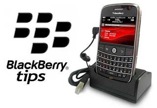 blackberry tips